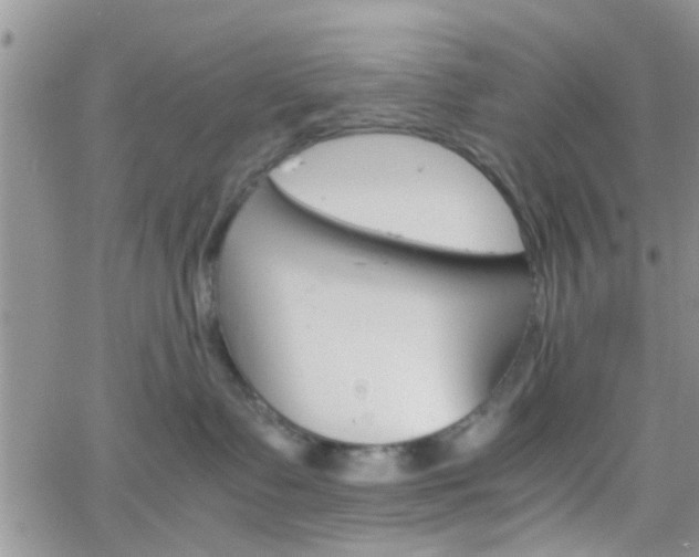 X0000066080335200603171036