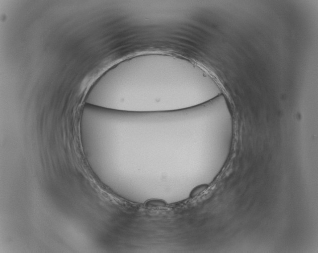 X0000066080337200603171036