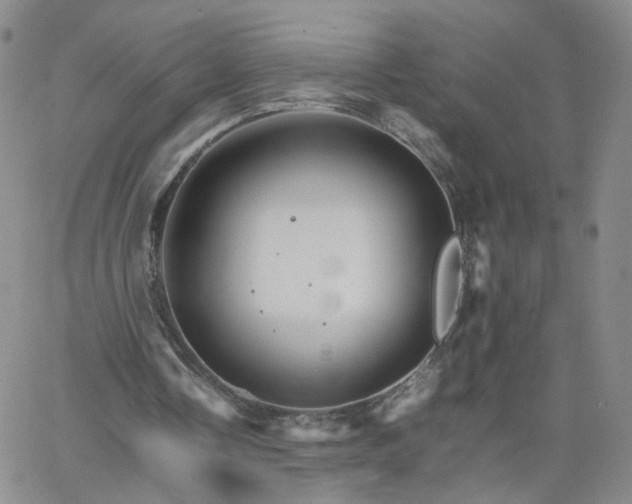 X0000066080338200603171036