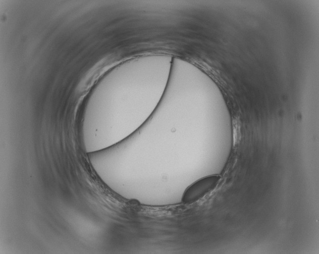 X0000066080339200603171036