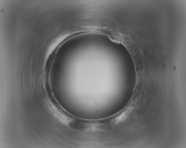 X0000066080342200603171036