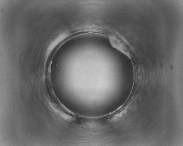 X0000066080344200603171036