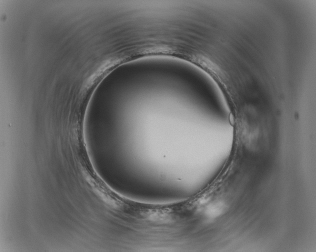 X0000066080345200603171036