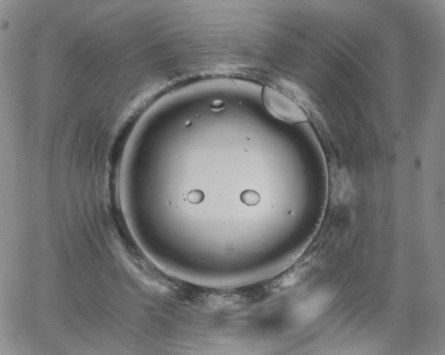 X0000066080346200603171036