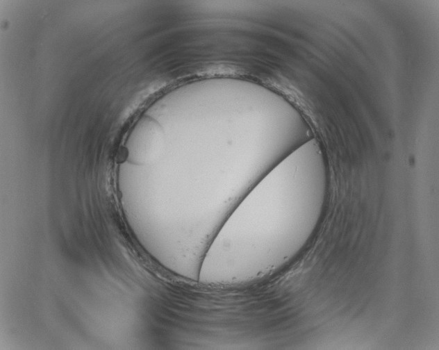 X0000066080347200603171036