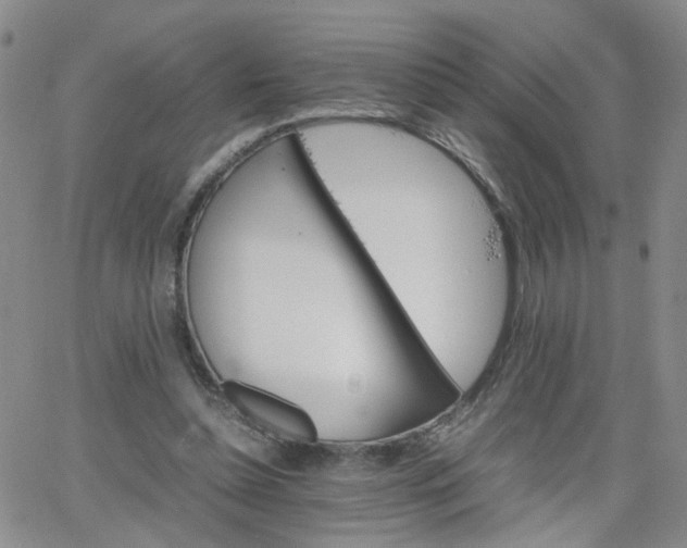 X0000066080348200603171036