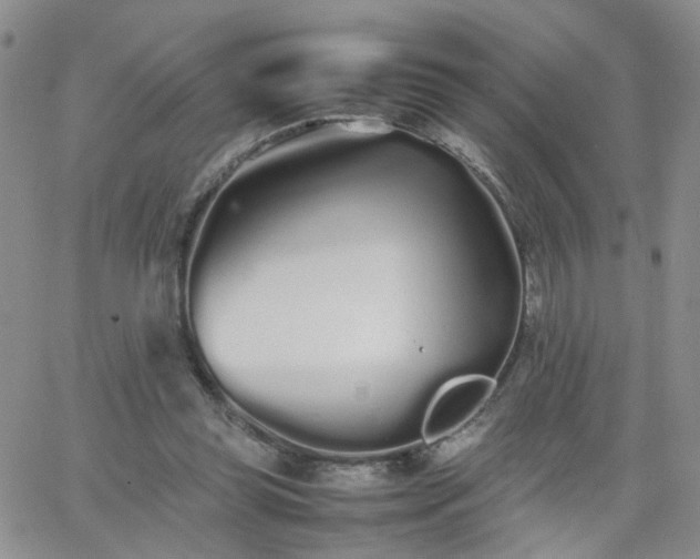 X0000066080349200603171036