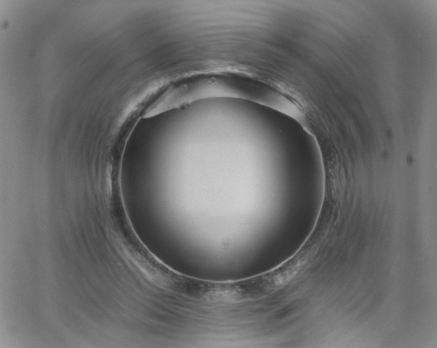 X0000066080350200603171036