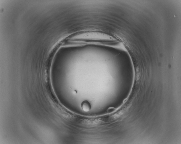 X0000066080351200603171036