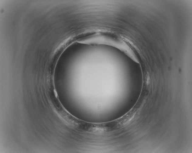 X0000066080352200603171036