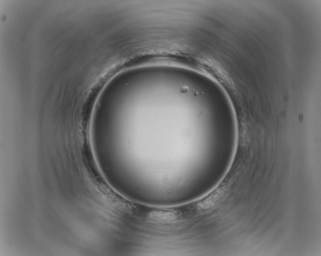 X0000066080354200603171036