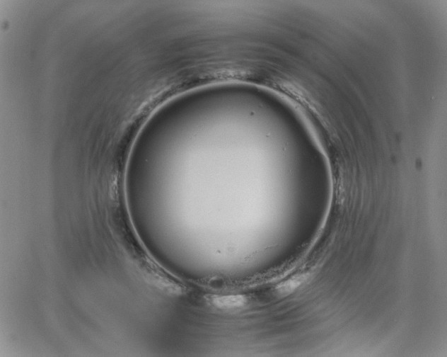 X0000066080355200603171036