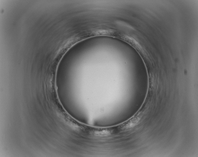 X0000066080357200603171036