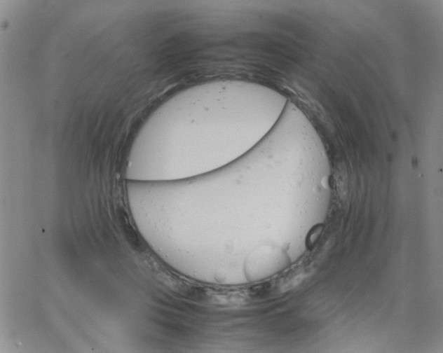 X0000066080359200603171036