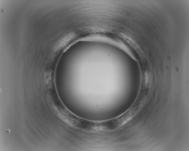 X0000066080360200603171036