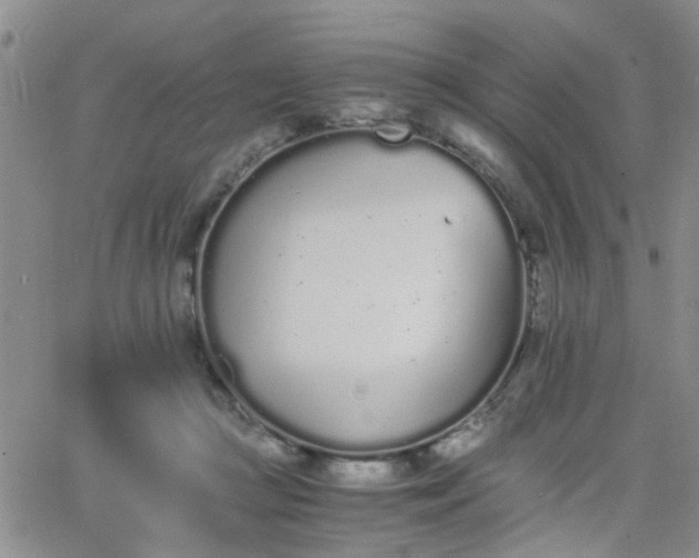 X0000066080361200603171036