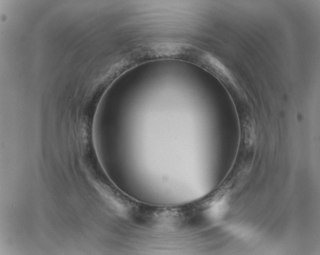 X0000066080362200603171036