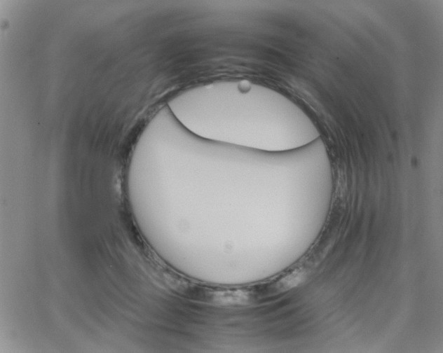 X0000066080363200603171036