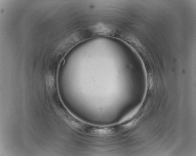 X0000066080365200603171036