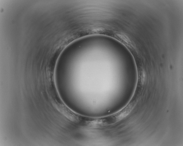 X0000066080366200603171036