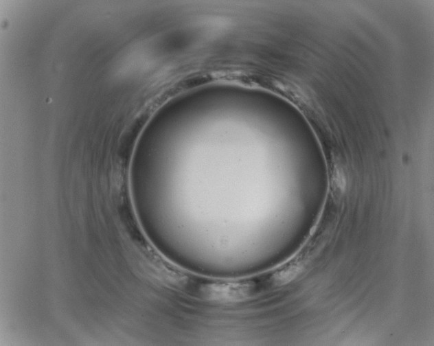 X0000066080367200603171036