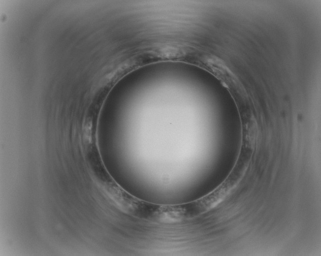 X0000066080368200603171036