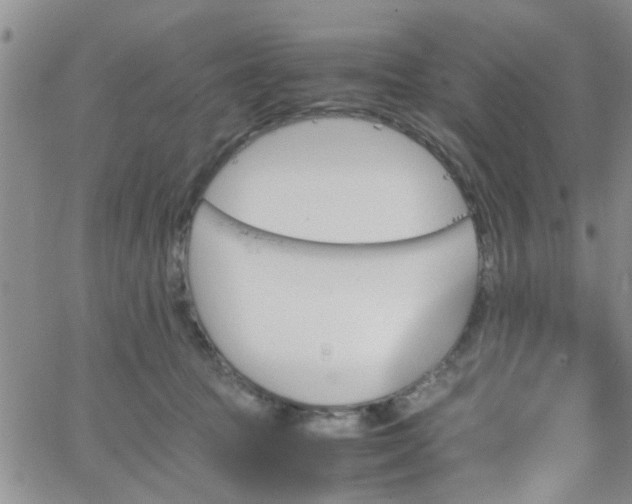 X0000066080369200603171036