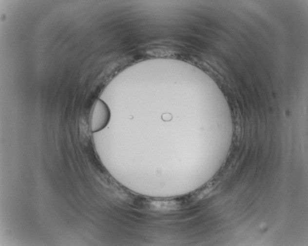 X0000066080371200603171036