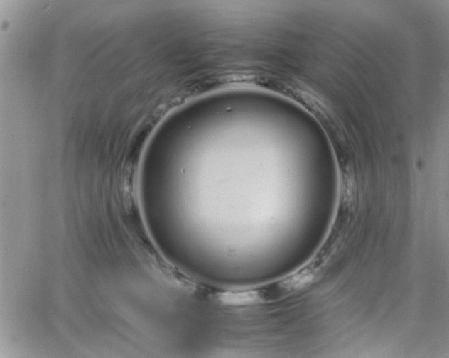 X0000066080373200603171036