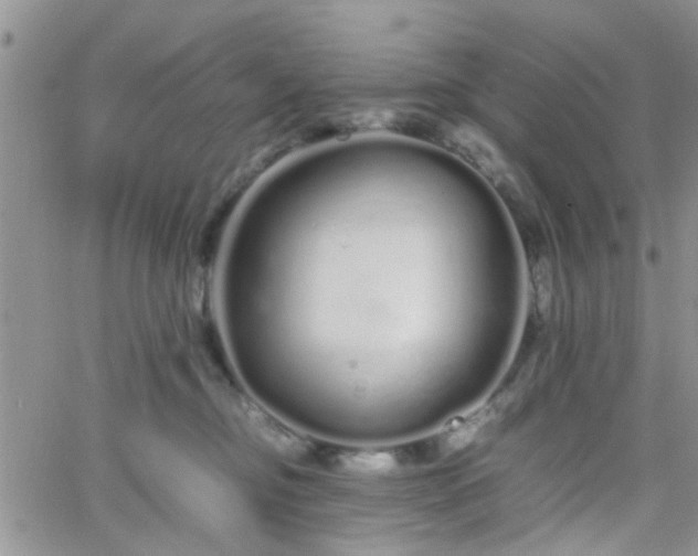 X0000066080374200603171036