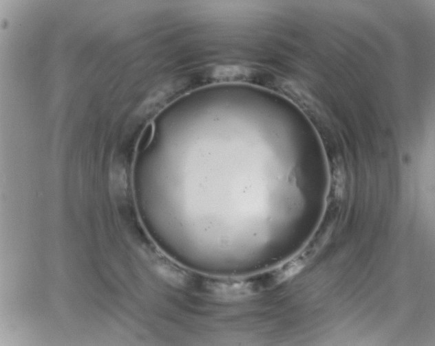 X0000066080375200603171036