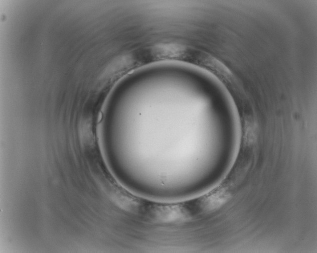 X0000066080377200603171036