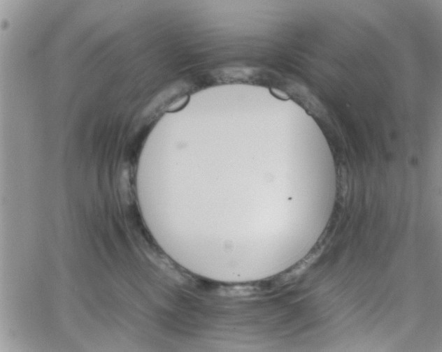 X0000066080378200603171036