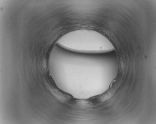 X0000066080380200603171036