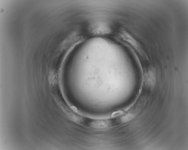 X0000066080381200603171036