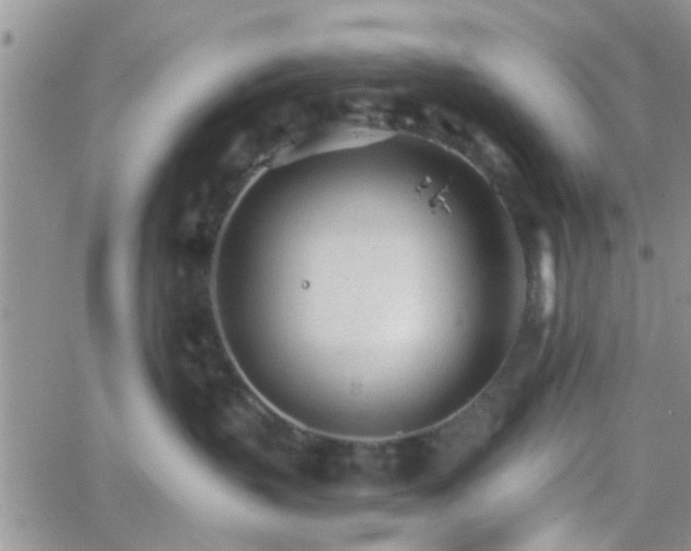 X0000066080383200603171036