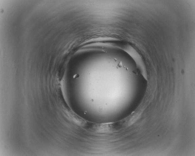 X0000066080384200603171036