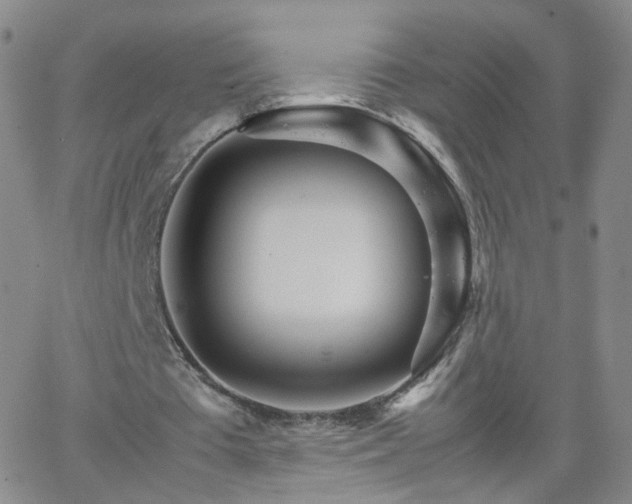 X0000066080385200603171036