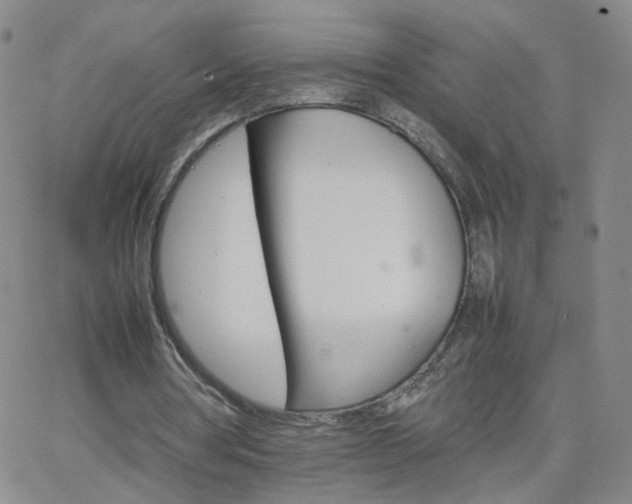 X0000066080386200603171036