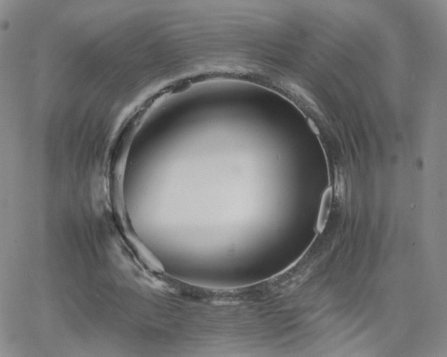 X0000066080388200603171036