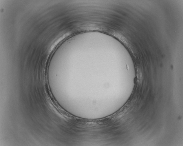 X0000066080390200603171036