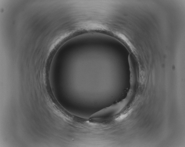 X0000066080391200603171036