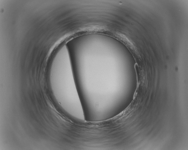 X0000066080392200603171036