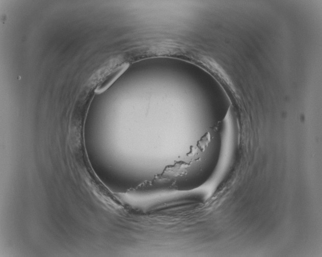 X0000066080393200603171036