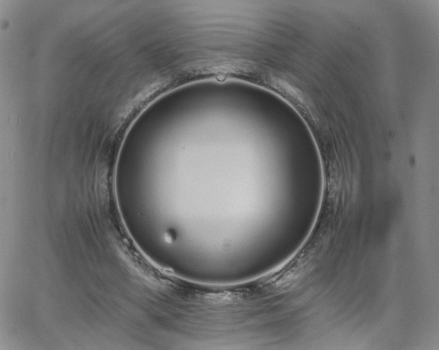 X0000066080394200603171036