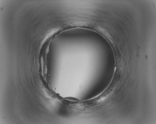 X0000066080395200603171036