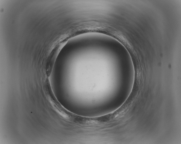 X0000066080397200603171035