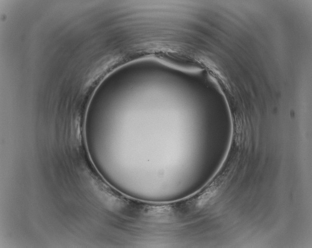 X0000066080398200603171035