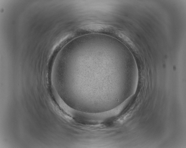 X0000066080399200603171035