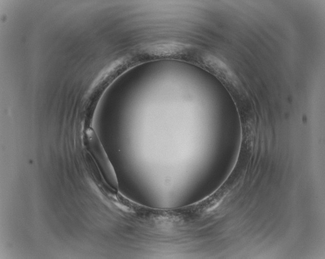 X0000066080400200603171035